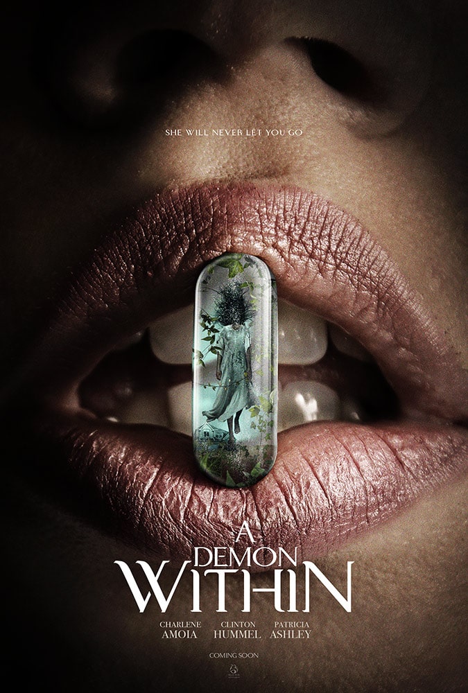 Resultado de imagem para A Demon Within 2017 poster